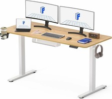 FLEXISPOT Electric Standing