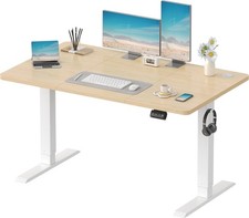 Devoko Electric Standing Desk