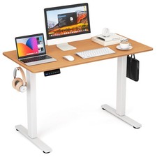 Electric Standing Desk