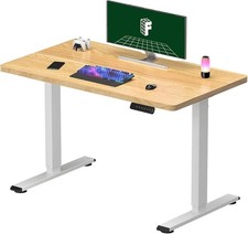 FLEXISPOT ONE PIECE Electric