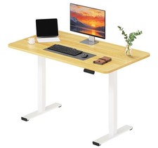 FlexiSpot 120x60 Electric